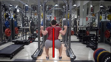 Vectors in Performance Training