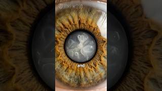 Download Lagu Waarom je ogen na je 45e minder goed scherpstellen van dichtbij 👀 #shorts #science #medical #vision MP3