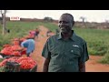 Heres what you can expect in african farming