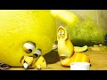 LARVA | PUO | Film dei cartoni animati | Cartoni per bambini | WildBrain