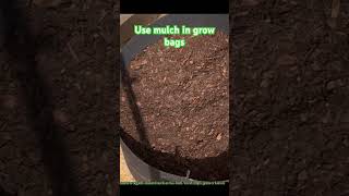 Use Mulch in your garden garden gardeningtips mulching organicgardening gardening