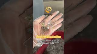 Clean Separation of Copper & Silicon from PV Glass | Density Separator for Solar Waste