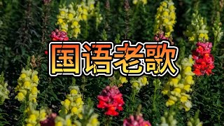 怀旧金曲精选 💿 70、80、90年代台湾国语老歌100首 | 经典不老 情怀永在 | 邓丽君 千百惠