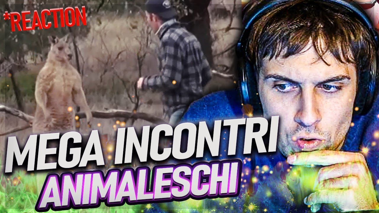 INCREDIBILI INCONTRI TRA UOMINI E ANIMALI 