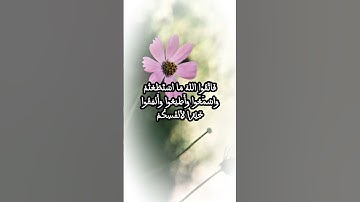 سورة التغابن | القارئ الشيخ ياسر الدوسري ❤️ #ياسر_الدوسري #تلاوات #قرآن #تلاوة_خاشعة #قران_كريم