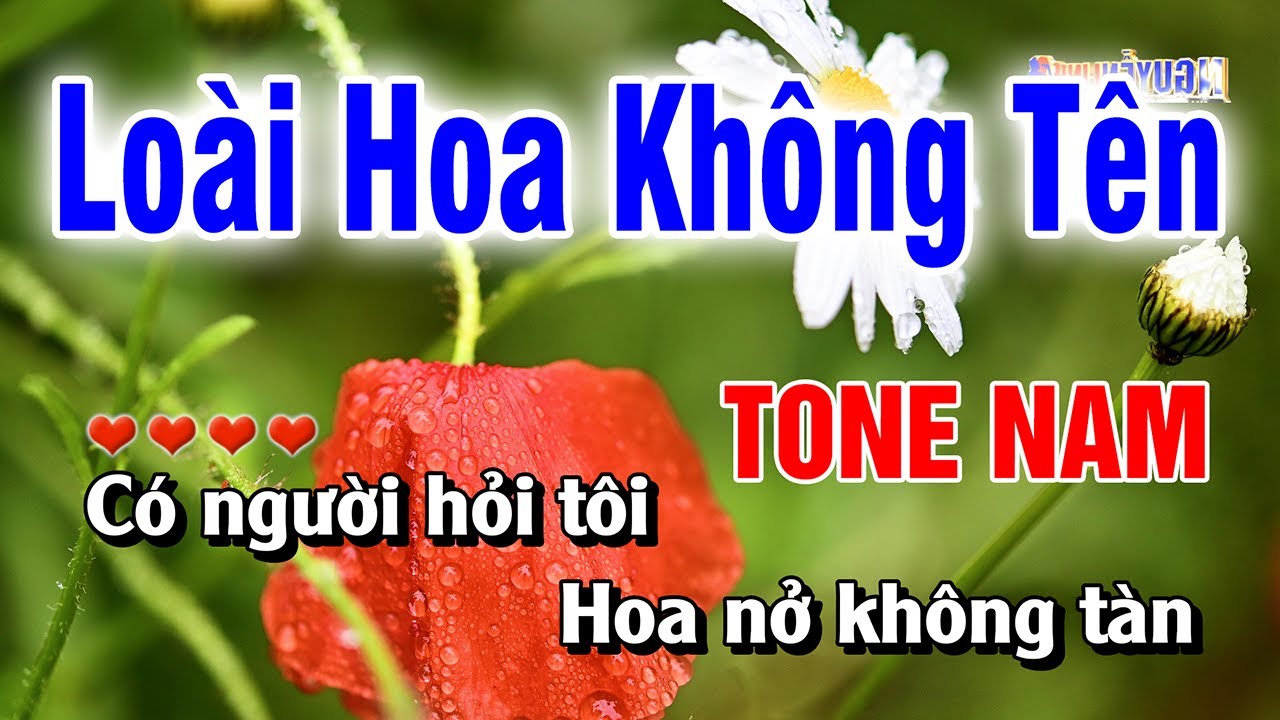 Karaoke Loài Hoa Không Tên Tone Nam Nhạc Sống Beat Hay | Hoàng Luân