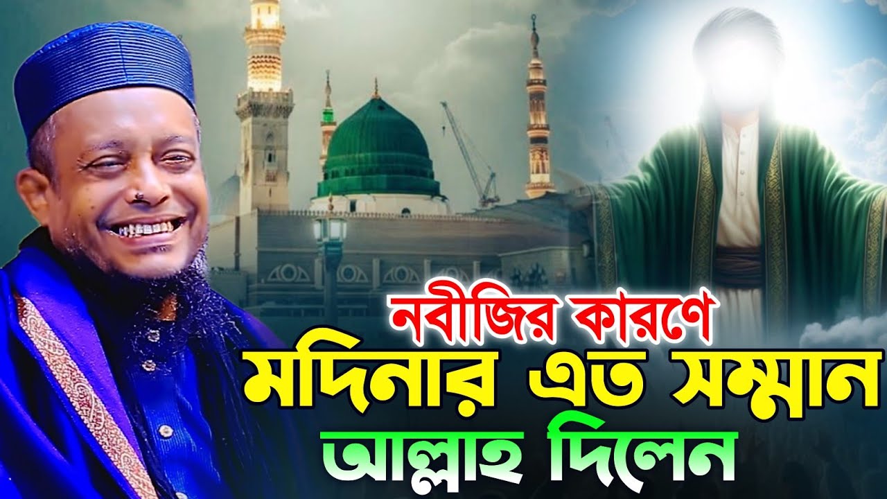 নবীজির কারণে মদিনার এত সম্মান আল্লাহ দিলেন || ওয়ালি উল্ল্যাহ আশেকী || নতুন ওয়াজ || DIP TV HD