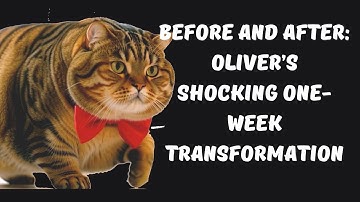 Before and After: Oliver’s Shocking One-Week Transformation
