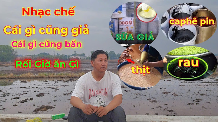 Cái gì cũng giả cái gì cũng bẩn rồi giờ biết ăn gì đây #nhachaymoingay