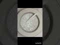 "Crunch lovers, this one ' s for you 🤍#asmr#shorts#slatecrunch#satisfyingvideo#viralshorts