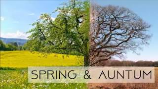Spring and Autumn Combination Photo Manipulation | Photoshop Tutorial CC | Pix Club screenshot 1