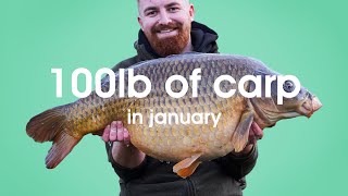 100Lbs Of Carp In January