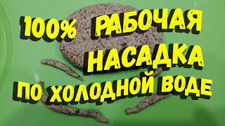 Эффективная насадка при ловле в холодной воде