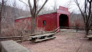 Nikon Z 6 Ninja V 4K N-Log 10Bit 422 Test Video