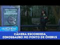 Dinossauro no Ponto de Ônibus - Dinossaur at the Bus Stop | Câmeras Escondidas (18/06/23)