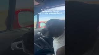 I Thought It Was Just Another Dog Fart