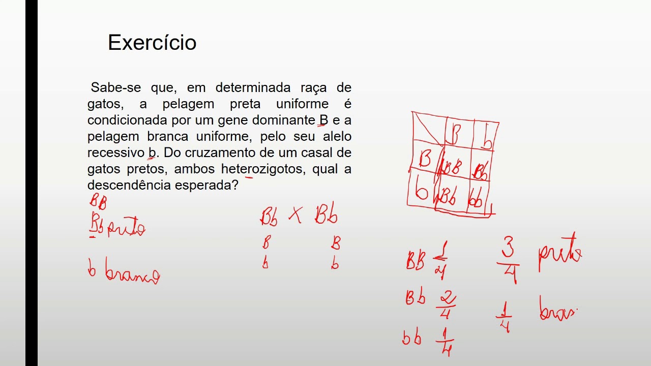 Dê O Resultado Dos Cruzamentos Entre Os Seguintes Indivíduos
