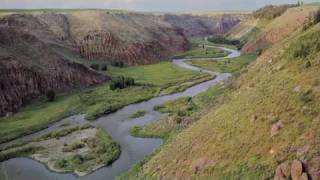 Teton Canyon -- A Wild Legacy at Risk
