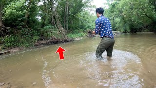 Fishing & Exploring my BACKYARD CREEK!!! (FULL of Surprises...)