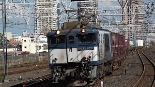 EF64 1000番台が牽引する鹿島貨物（1094レ）市川駅＆南流山駅