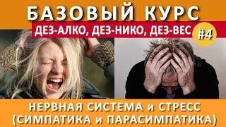 #4. Стресс и Автономная Нервная Система. Симпатика и парасимпатика #4. Стресс и Автономная Нервная Система. Симпатика и парасимпатика