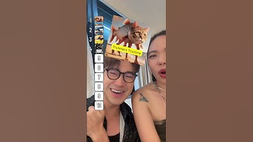 BẠN SẼ CƯỚI NHÂN VẬT BRAINROT NÀO?