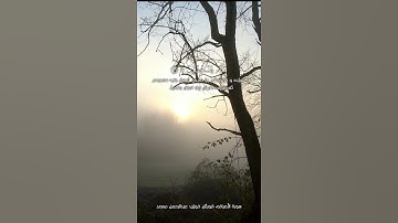 سورة الأعراف آية ٢٠٤ - ٢٠٥ القارئ عبدالرحمن مسعد