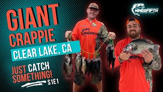 MONSTER CRAPPIE at CLEAR LAKE! Just CATCH Something! S1E1 #crappiefishing #kayakfishing