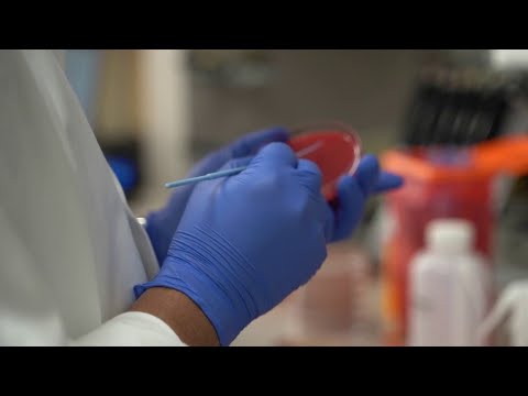 Research team builds