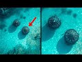 2 MINUTES AGO: Shocking Underwater UFOs Spotted Near Alaska&#39;s Coast!