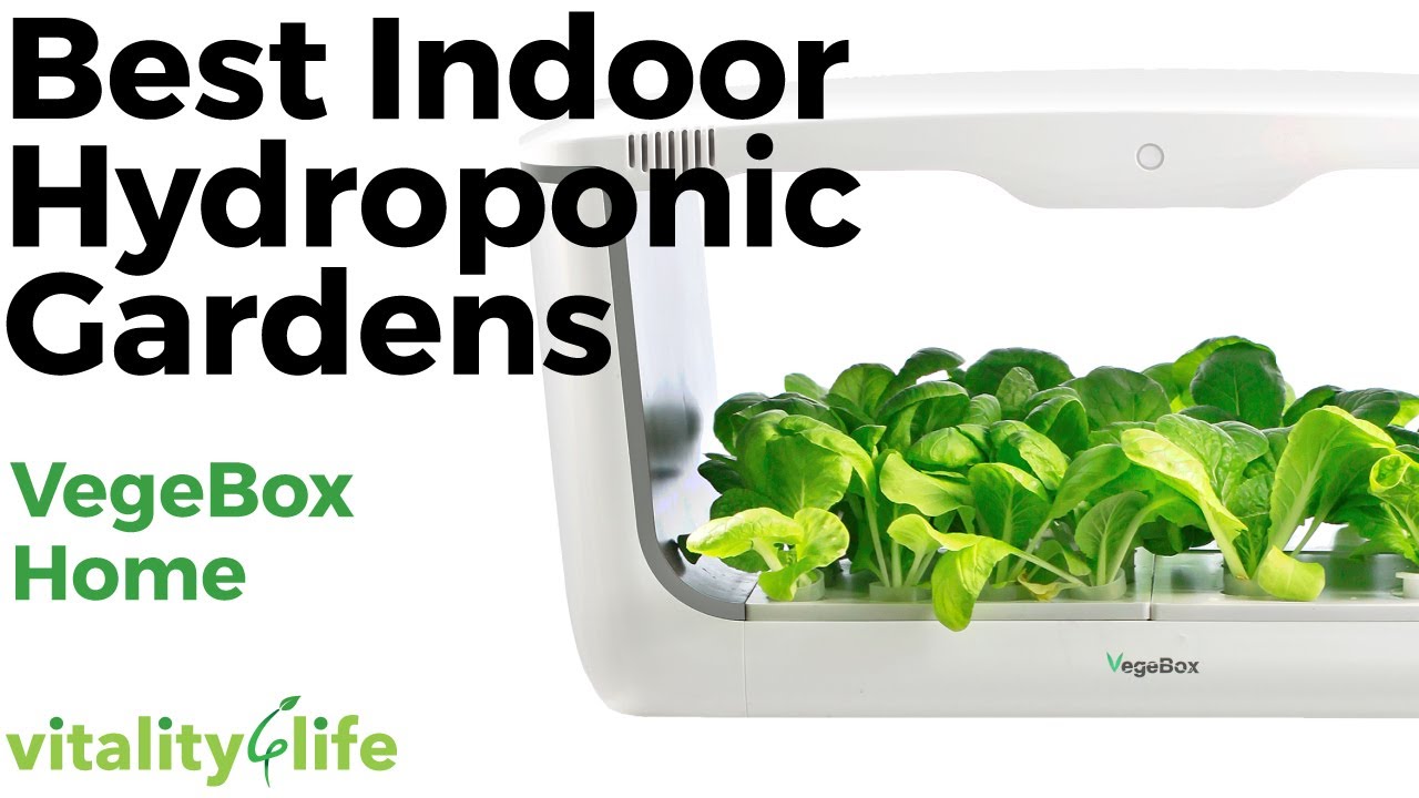Vegebox Home Indoor Hydroponic Garden Youtube