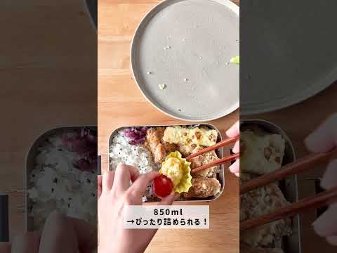 見た目じゃわからない！お弁当箱の「本当の容量」をガチ比較してみた【スケーター】 #お弁当 #skater #サイズ比較 #新生活