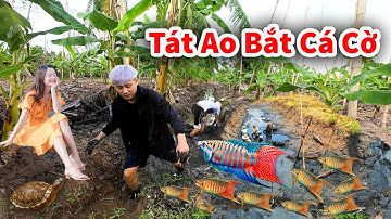 Hậu Cáo - Tát Ao Hoang Bắt Được Rất Nhiều Cá Cờ