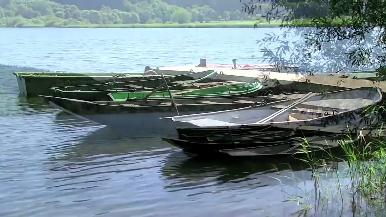 Wandern und Gedanken #1  Meerfelder Maar und Mosenberg 17 KM