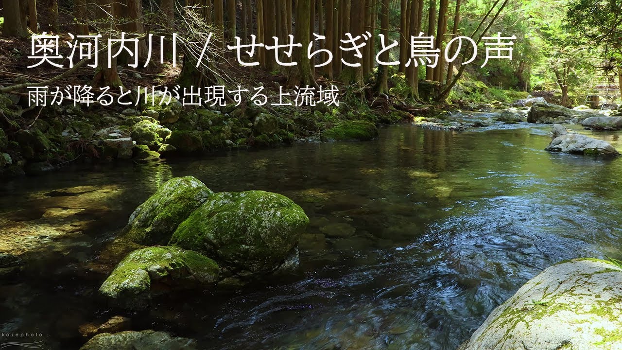 4K 映像 + 自然環境音 三重・奥河内川 せせらぎと鳥の声 - YouTube