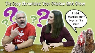 Video Chicken Live: Coop Chronicles: Your Chicken Q&amp;A Show