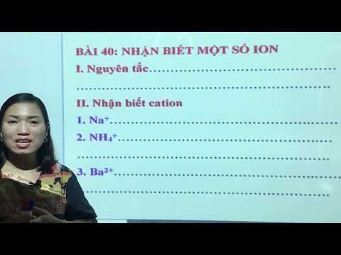 Video 12.8.1 Phương Pháp Nhận Biết Một Số Ion Trong Dung... - youtube