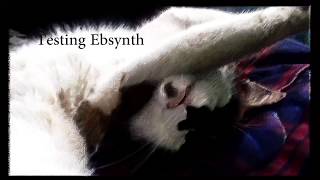 Prueba ebsynth