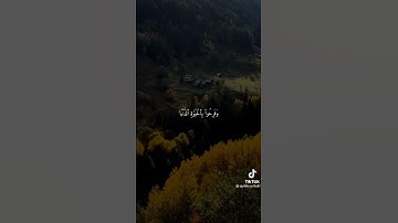 قرءان كريم  تلاوة خاشعة تلاوات نادرة