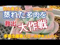 【多肉植物】蒸れた多肉‼️救出大作戦‼️2020年4月9日