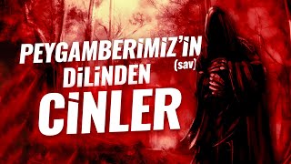 Peygamberimizin Sav Dilinden Cinler