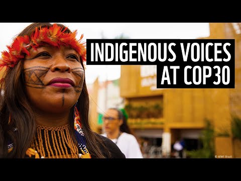 Traveling to COP30 with Tamera Munduruku | WWF