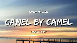 Sandy Marton - Camel By Camel (1 Hour Loop)