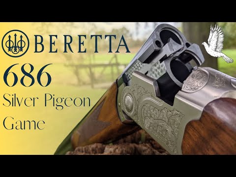 Video: Beretta 686: recenzii și recenzii