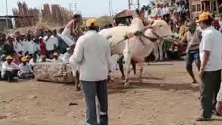 Kallu Jaggisuva Sparde