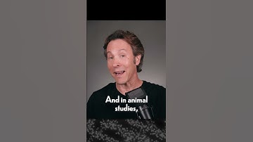 One of the Most Astonishing Facts of Neuroscience | INNER COSMOS WITH DAVID EAGLEMAN #shorts