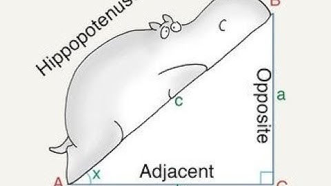 Section 4.3: Right Triangle Trigonometry