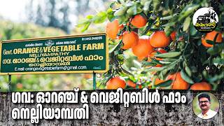 Govt: Orange &amp; Vegitable Farm Nelliyampathy #nelliyampathy #yathravandi