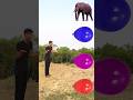 Animals Names #youtubeshorts #tranding #shorts
