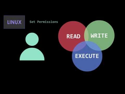 Video: Apa itu izin DRWX?